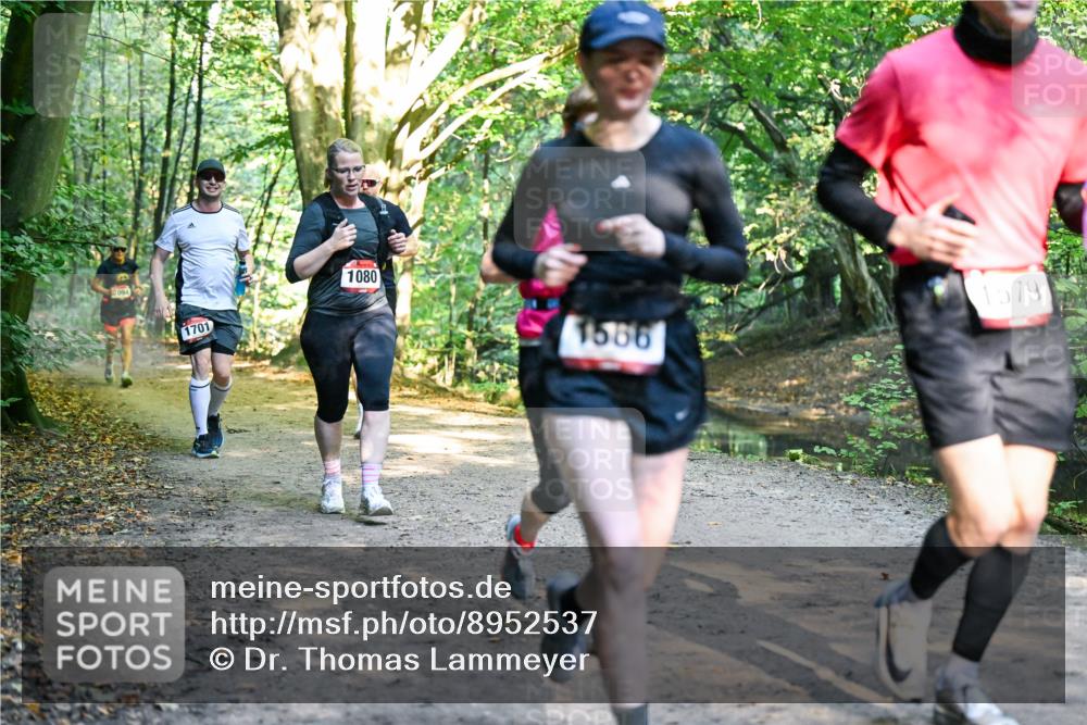 28.09.2025 - 33. Volkslauf durch das schöne Alstertal Dr. Thomas Lammeyer http://msf.ph/oto/8952537 28.09.2025 10:21:49 Laufen 094, 1701, 1080, 1579, 1586 meine-sportfotos.de