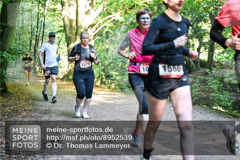 28.09.2025 - 33. Volkslauf durch das schöne Alstertal Dr. Thomas Lammeyer http://msf.ph/oto/8952539 28.09.2025 10:21:49 Laufen 1701, 1080, 10, 1566 meine-sportfotos.de