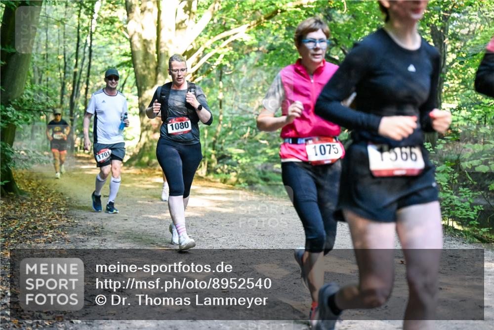 28.09.2025 - 33. Volkslauf durch das schöne Alstertal Dr. Thomas Lammeyer http://msf.ph/oto/8952540 28.09.2025 10:21:49 Laufen 1080, 1701, 1075, 1566 meine-sportfotos.de