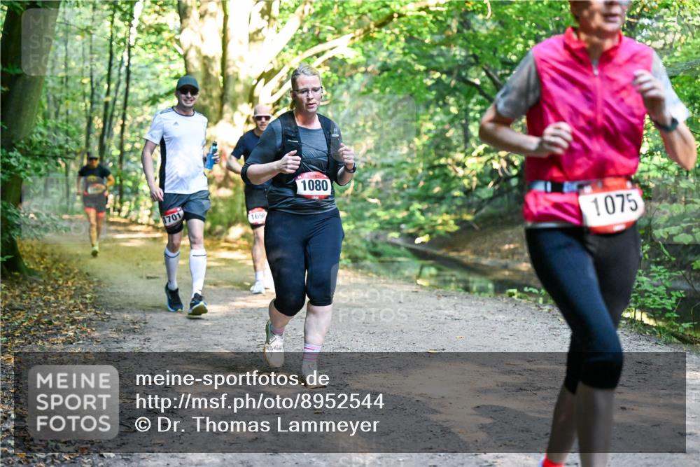 28.09.2025 - 33. Volkslauf durch das schöne Alstertal Dr. Thomas Lammeyer http://msf.ph/oto/8952544 28.09.2025 10:21:50 Laufen 1701, 169, 1080, 1075 meine-sportfotos.de
