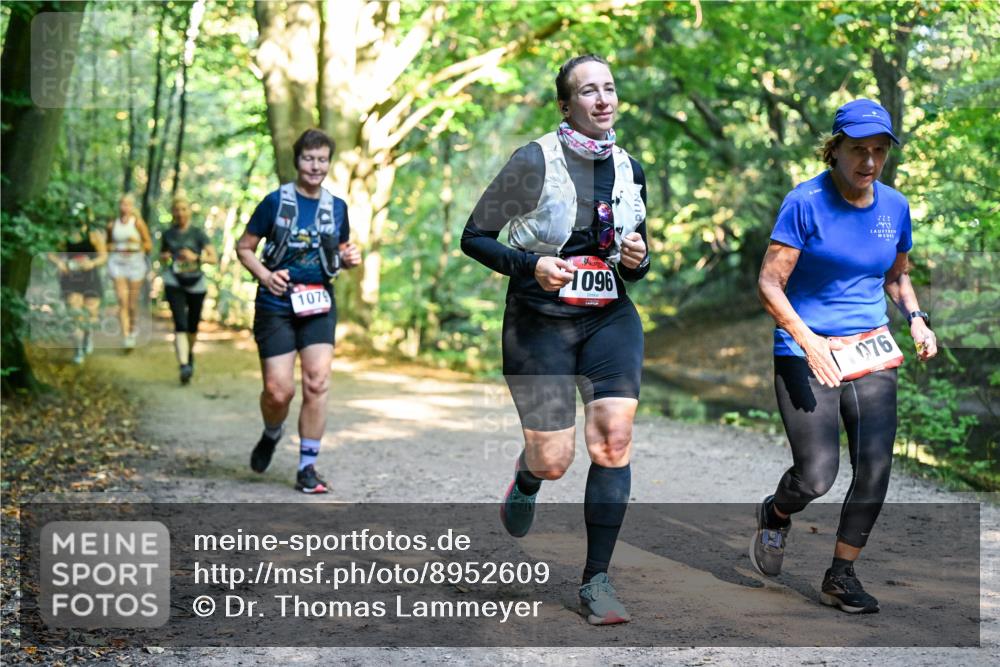 28.09.2025 - 33. Volkslauf durch das schöne Alstertal Dr. Thomas Lammeyer http://msf.ph/oto/8952609 28.09.2025 10:22:07 Laufen 1079, 1096, 076, 222 meine-sportfotos.de