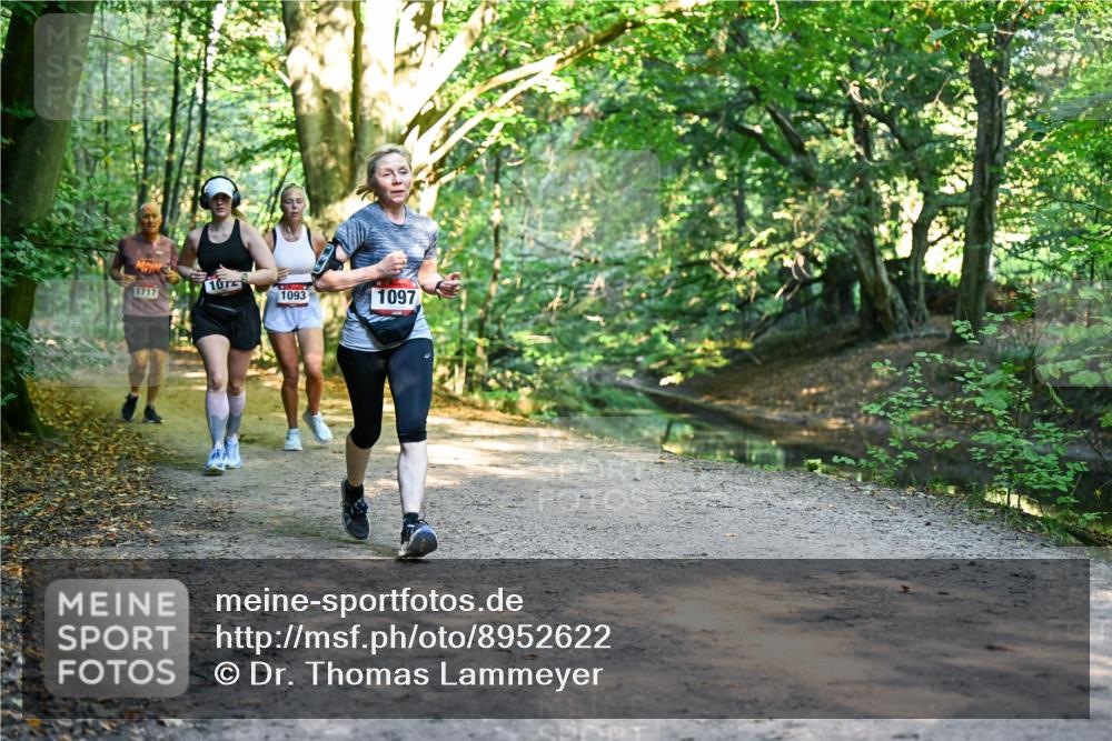 28.09.2025 - 33. Volkslauf durch das schöne Alstertal Dr. Thomas Lammeyer http://msf.ph/oto/8952622 28.09.2025 10:22:11 Laufen 1717, 107, 1093, 1097 meine-sportfotos.de