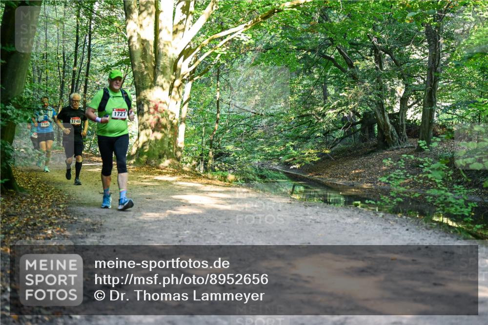 28.09.2025 - 33. Volkslauf durch das schöne Alstertal Dr. Thomas Lammeyer http://msf.ph/oto/8952656 28.09.2025 10:22:20 Laufen 101, 1745, 1740, 1727 meine-sportfotos.de