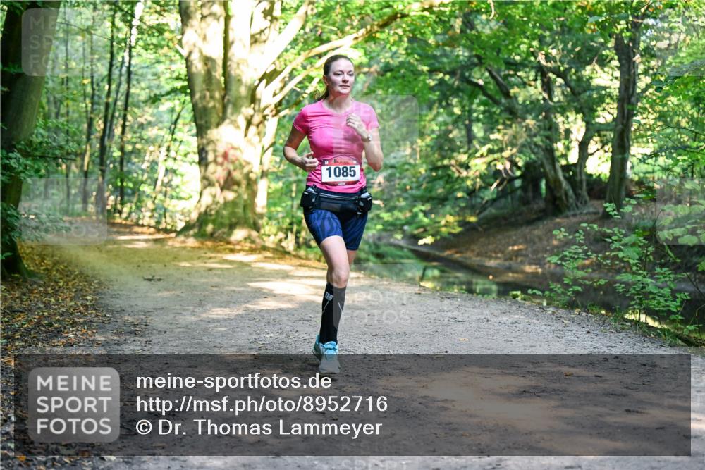 28.09.2025 - 33. Volkslauf durch das schöne Alstertal Dr. Thomas Lammeyer http://msf.ph/oto/8952716 28.09.2025 10:22:32 Laufen 1085 meine-sportfotos.de