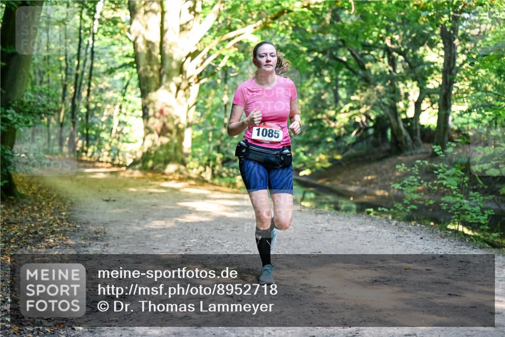 28.09.2025 - 33. Volkslauf durch das schöne Alstertal Dr. Thomas Lammeyer http://msf.ph/oto/8952718 28.09.2025 10:22:32 Laufen 1085 meine-sportfotos.de