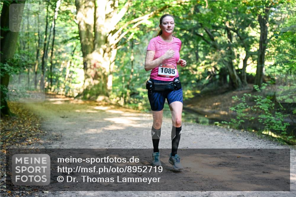 28.09.2025 - 33. Volkslauf durch das schöne Alstertal Dr. Thomas Lammeyer http://msf.ph/oto/8952719 28.09.2025 10:22:32 Laufen 1085 meine-sportfotos.de