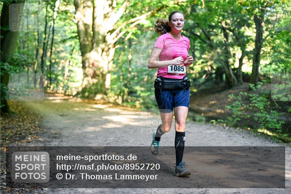 28.09.2025 - 33. Volkslauf durch das schöne Alstertal Dr. Thomas Lammeyer http://msf.ph/oto/8952720 28.09.2025 10:22:32 Laufen 1085 meine-sportfotos.de