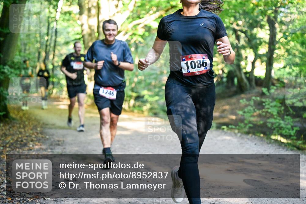 28.09.2025 - 33. Volkslauf durch das schöne Alstertal Dr. Thomas Lammeyer http://msf.ph/oto/8952837 28.09.2025 10:23:22 Laufen 1746, 1086, 4 meine-sportfotos.de