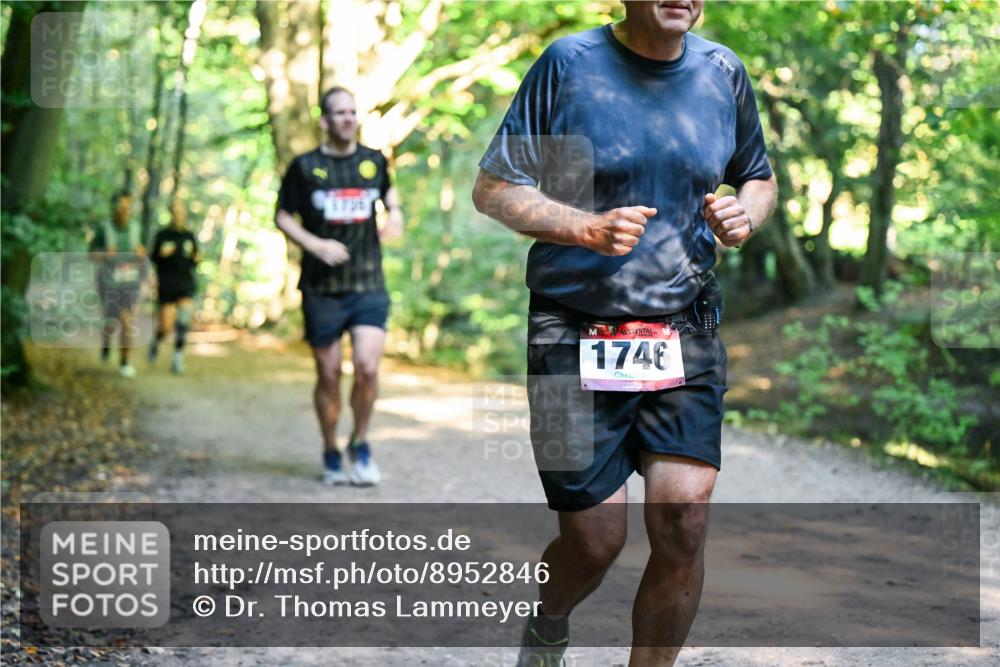28.09.2025 - 33. Volkslauf durch das schöne Alstertal Dr. Thomas Lammeyer http://msf.ph/oto/8952846 28.09.2025 10:23:23 Laufen 1746 meine-sportfotos.de