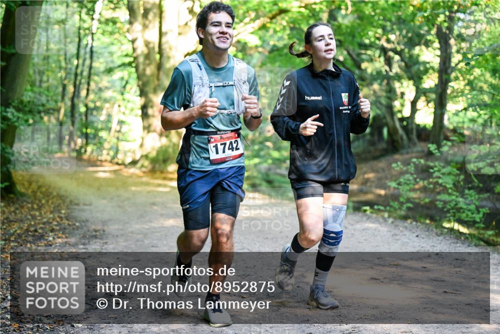 28.09.2025 - 33. Volkslauf durch das schöne Alstertal Dr. Thomas Lammeyer http://msf.ph/oto/8952875 28.09.2025 10:23:29 Laufen 1742 meine-sportfotos.de