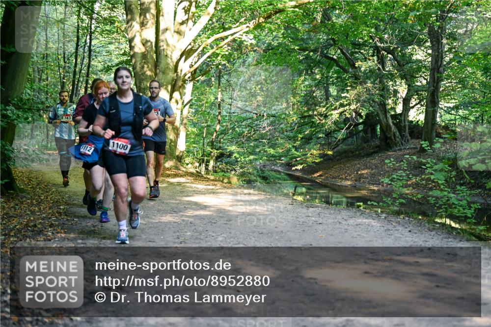 28.09.2025 - 33. Volkslauf durch das schöne Alstertal Dr. Thomas Lammeyer http://msf.ph/oto/8952880 28.09.2025 10:23:40 Laufen 1743, 1112, 1100 meine-sportfotos.de