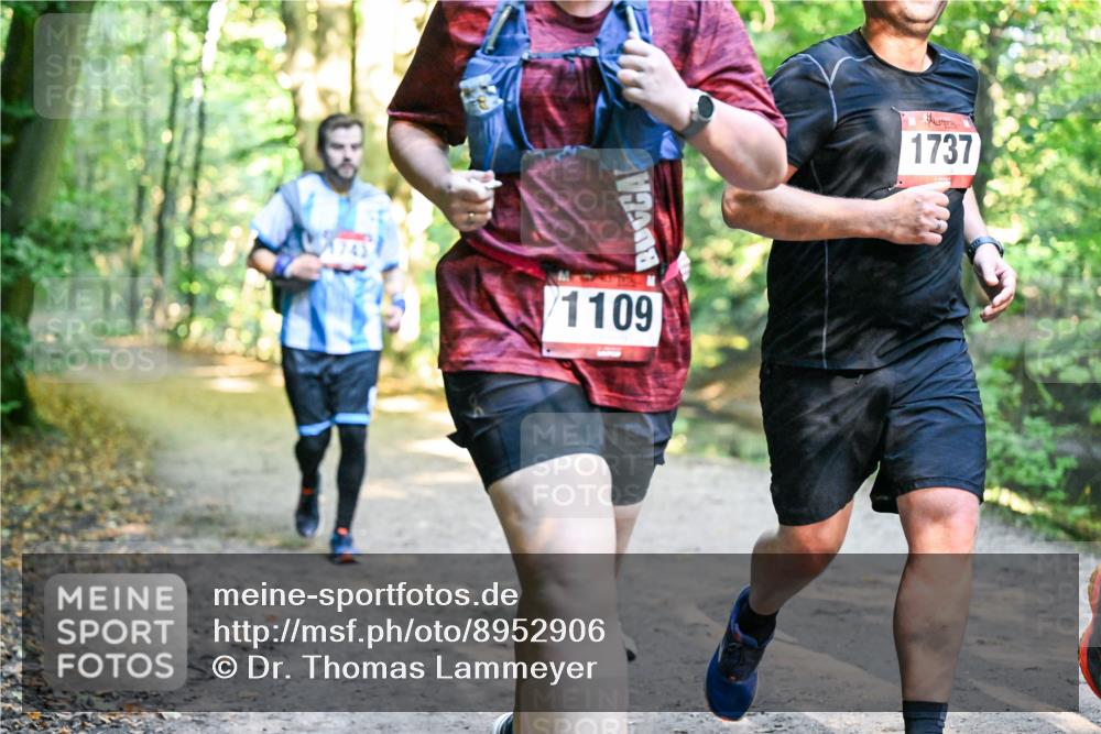 28.09.2025 - 33. Volkslauf durch das schöne Alstertal Dr. Thomas Lammeyer http://msf.ph/oto/8952906 28.09.2025 10:23:44 Laufen 1109, 1737 meine-sportfotos.de