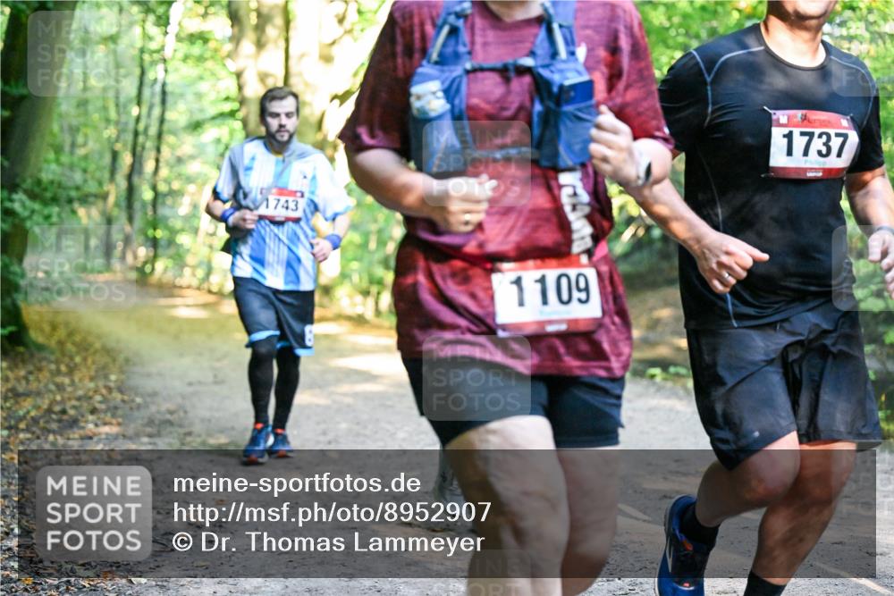 28.09.2025 - 33. Volkslauf durch das schöne Alstertal Dr. Thomas Lammeyer http://msf.ph/oto/8952907 28.09.2025 10:23:44 Laufen 1743, 1109, 1737 meine-sportfotos.de