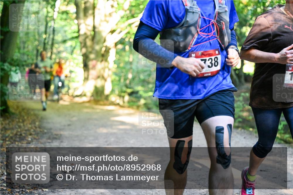 28.09.2025 - 33. Volkslauf durch das schöne Alstertal Dr. Thomas Lammeyer http://msf.ph/oto/8952968 28.09.2025 10:24:19 Laufen 38 meine-sportfotos.de