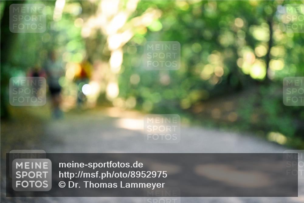 28.09.2025 - 33. Volkslauf durch das schöne Alstertal Dr. Thomas Lammeyer http://msf.ph/oto/8952975 28.09.2025 10:24:20 Laufen  meine-sportfotos.de