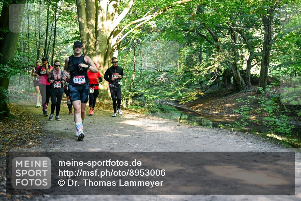 28.09.2025 - 33. Volkslauf durch das schöne Alstertal Dr. Thomas Lammeyer http://msf.ph/oto/8953006 28.09.2025 10:25:13 Laufen 11, 1114, 1104, 1754, 1107 meine-sportfotos.de