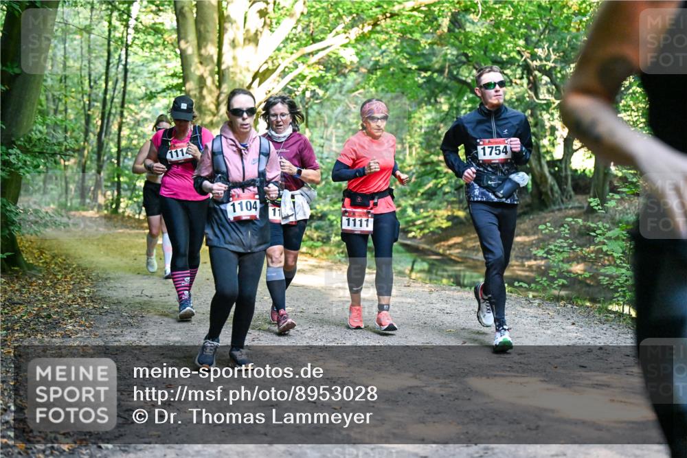28.09.2025 - 33. Volkslauf durch das schöne Alstertal Dr. Thomas Lammeyer http://msf.ph/oto/8953028 28.09.2025 10:25:17 Laufen 1114, 1104, 11, 1111, 1754 meine-sportfotos.de