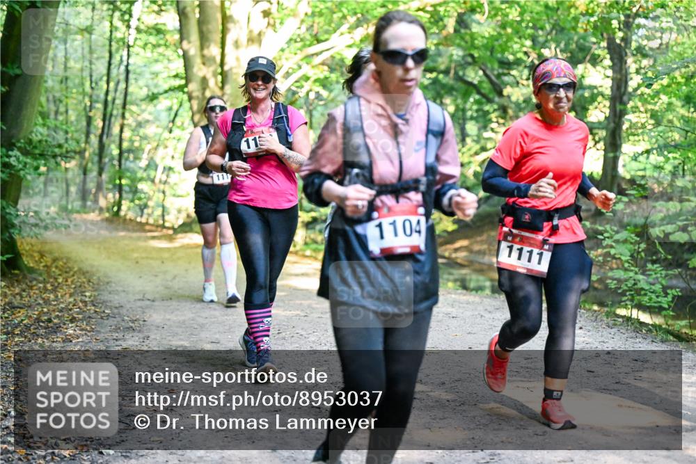 28.09.2025 - 33. Volkslauf durch das schöne Alstertal Dr. Thomas Lammeyer http://msf.ph/oto/8953037 28.09.2025 10:25:18 Laufen 111, 115, 1104, 1111 meine-sportfotos.de