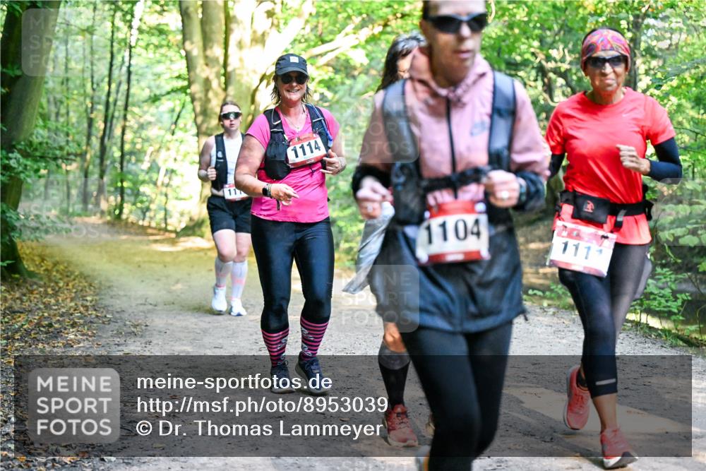 28.09.2025 - 33. Volkslauf durch das schöne Alstertal Dr. Thomas Lammeyer http://msf.ph/oto/8953039 28.09.2025 10:25:19 Laufen 11, 1114, 1104, 1111 meine-sportfotos.de