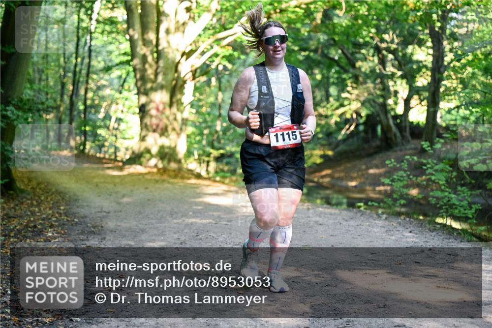 28.09.2025 - 33. Volkslauf durch das schöne Alstertal Dr. Thomas Lammeyer http://msf.ph/oto/8953053 28.09.2025 10:25:21 Laufen 1115 meine-sportfotos.de