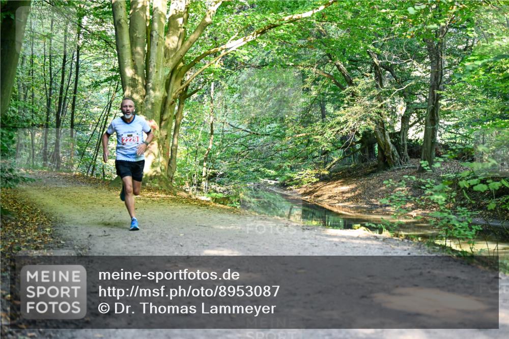 28.09.2025 - 33. Volkslauf durch das schöne Alstertal Dr. Thomas Lammeyer http://msf.ph/oto/8953087 28.09.2025 10:33:34 Laufen  meine-sportfotos.de