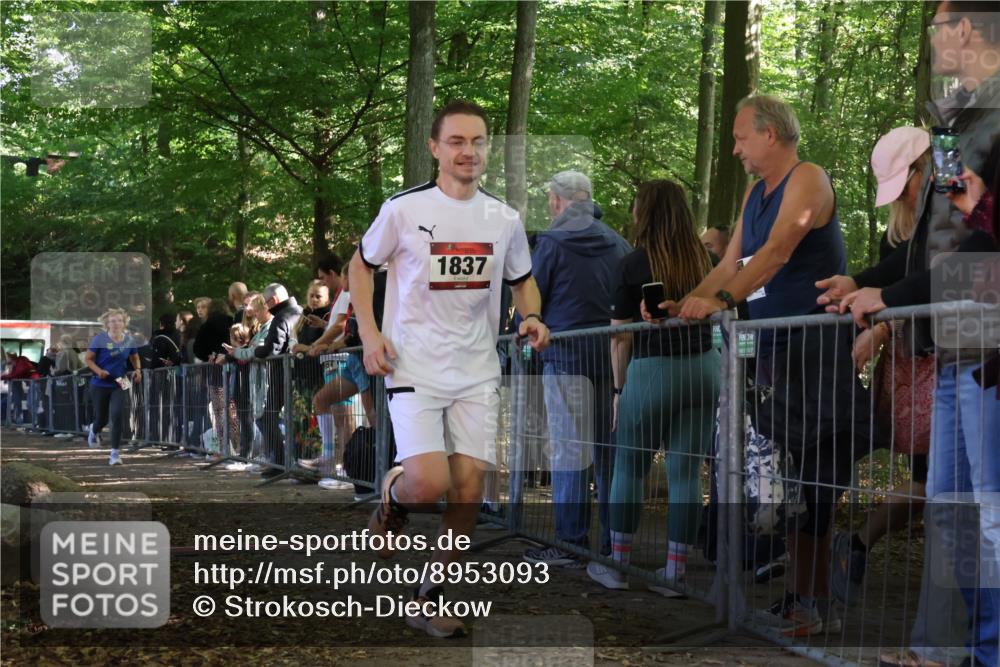 28.09.2025 - 33. Volkslauf durch das schöne Alstertal Strokosch-Dieckow http://msf.ph/oto/8953093 28.09.2025 12:28:39 Ziel 1837, 2602 meine-sportfotos.de