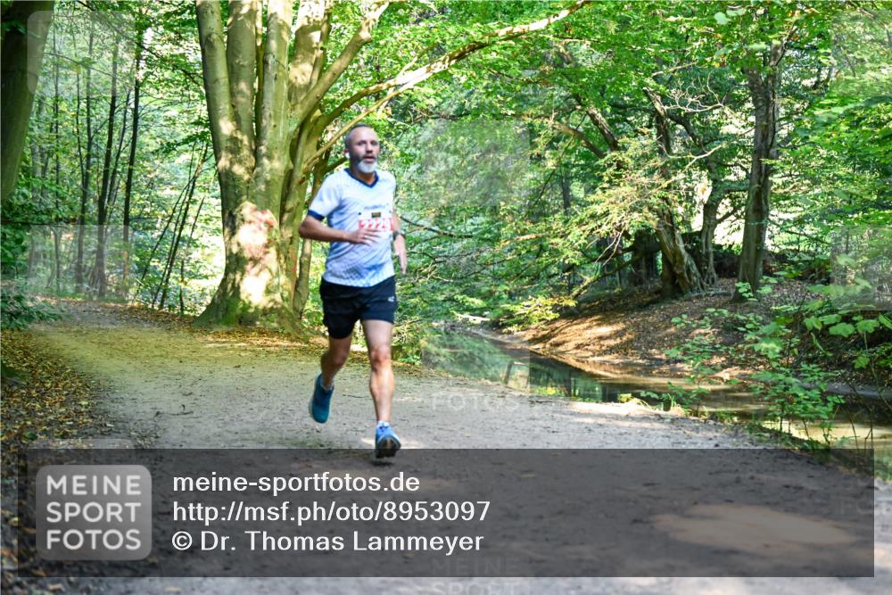 28.09.2025 - 33. Volkslauf durch das schöne Alstertal Dr. Thomas Lammeyer http://msf.ph/oto/8953097 28.09.2025 10:33:35 Laufen  meine-sportfotos.de