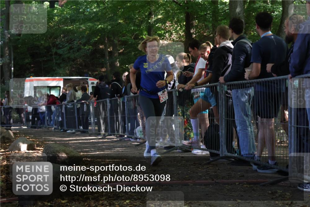 28.09.2025 - 33. Volkslauf durch das schöne Alstertal Strokosch-Dieckow http://msf.ph/oto/8953098 28.09.2025 12:28:41 Ziel 2602 meine-sportfotos.de