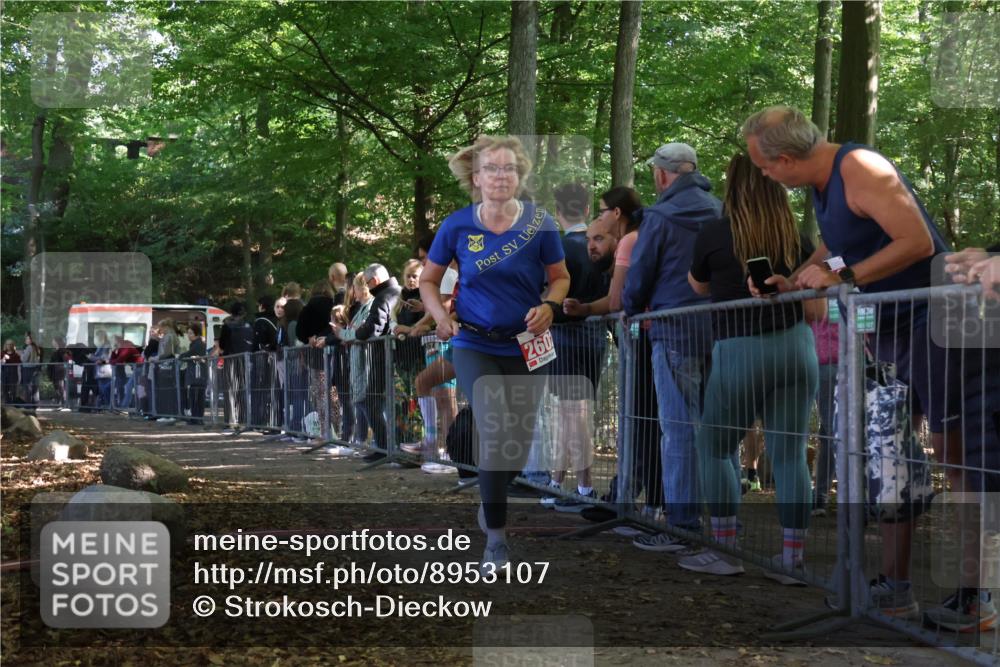 28.09.2025 - 33. Volkslauf durch das schöne Alstertal Strokosch-Dieckow http://msf.ph/oto/8953107 28.09.2025 12:28:43 Ziel 2602 meine-sportfotos.de