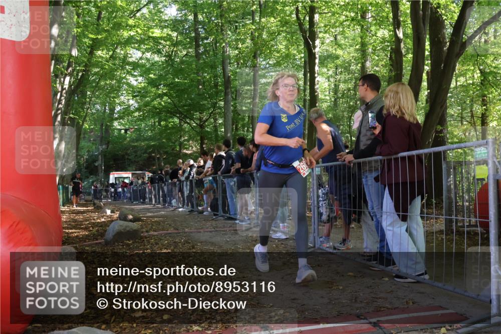 28.09.2025 - 33. Volkslauf durch das schöne Alstertal Strokosch-Dieckow http://msf.ph/oto/8953116 28.09.2025 12:28:44 Ziel  meine-sportfotos.de