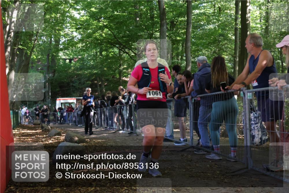 28.09.2025 - 33. Volkslauf durch das schöne Alstertal Strokosch-Dieckow http://msf.ph/oto/8953136 28.09.2025 12:28:56 Ziel 2314, 2481, 2482 meine-sportfotos.de
