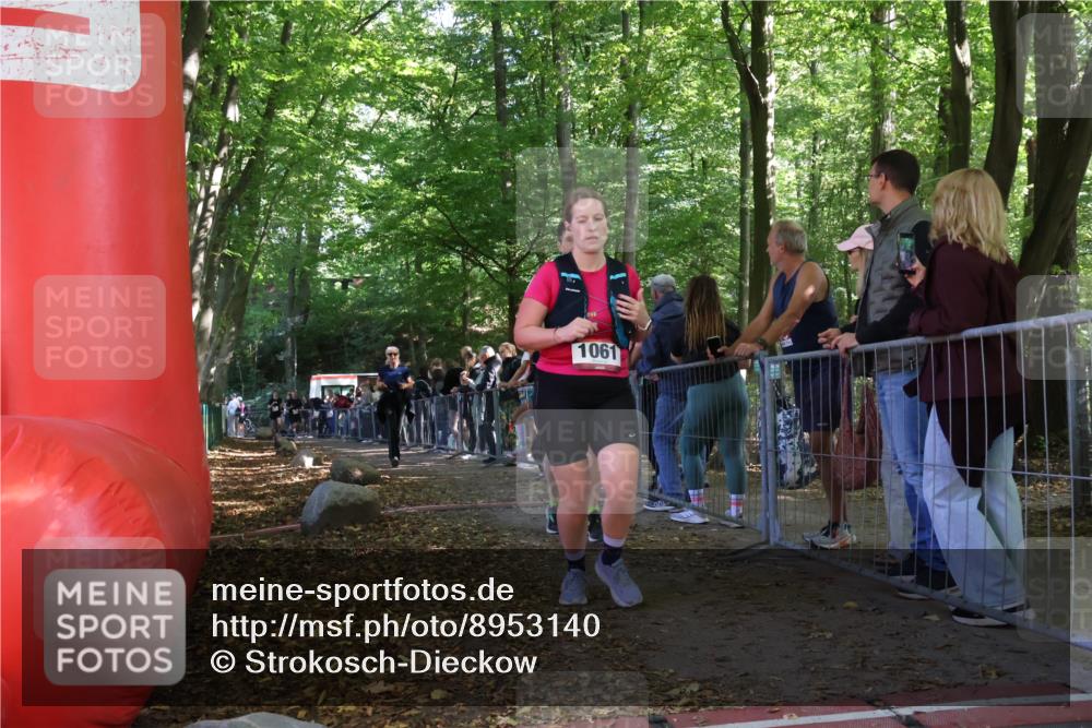 28.09.2025 - 33. Volkslauf durch das schöne Alstertal Strokosch-Dieckow http://msf.ph/oto/8953140 28.09.2025 12:28:56 Ziel 2314, 2481, 2482 meine-sportfotos.de