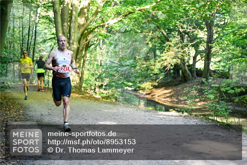 28.09.2025 - 33. Volkslauf durch das schöne Alstertal Dr. Thomas Lammeyer http://msf.ph/oto/8953153 28.09.2025 10:33:59 Laufen 2241 meine-sportfotos.de