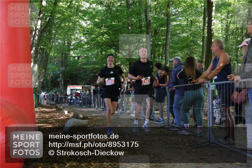 28.09.2025 - 33. Volkslauf durch das schöne Alstertal Strokosch-Dieckow http://msf.ph/oto/8953175 28.09.2025 12:29:06 Ziel 2481, 2482 meine-sportfotos.de