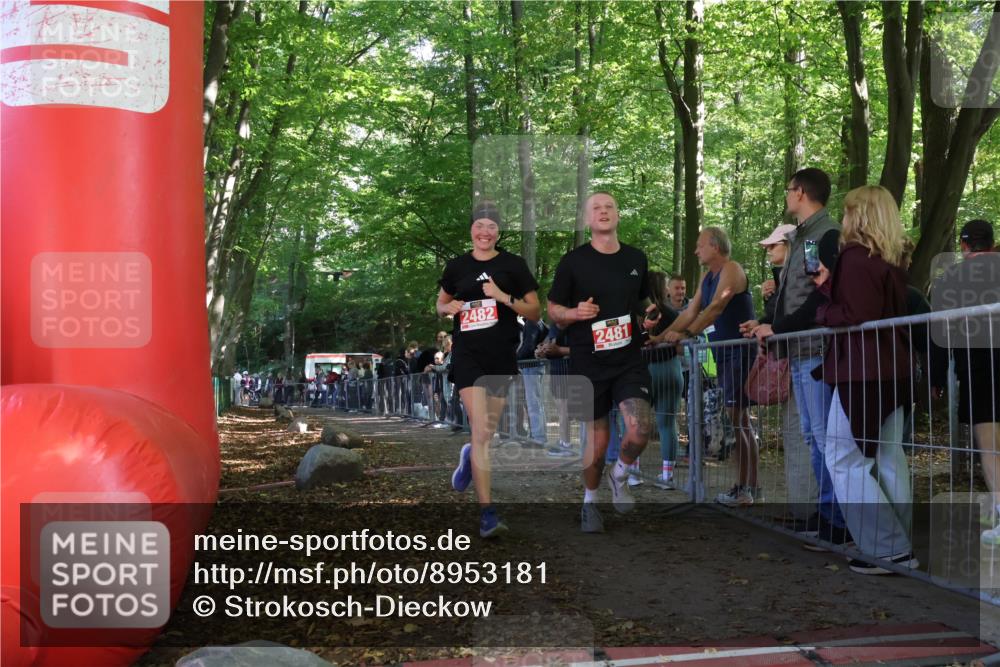 28.09.2025 - 33. Volkslauf durch das schöne Alstertal Strokosch-Dieckow http://msf.ph/oto/8953181 28.09.2025 12:29:06 Ziel 2481, 2482 meine-sportfotos.de