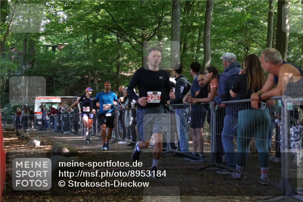 28.09.2025 - 33. Volkslauf durch das schöne Alstertal Strokosch-Dieckow http://msf.ph/oto/8953184 28.09.2025 12:29:29 Ziel 2387, 2436, 2484 meine-sportfotos.de