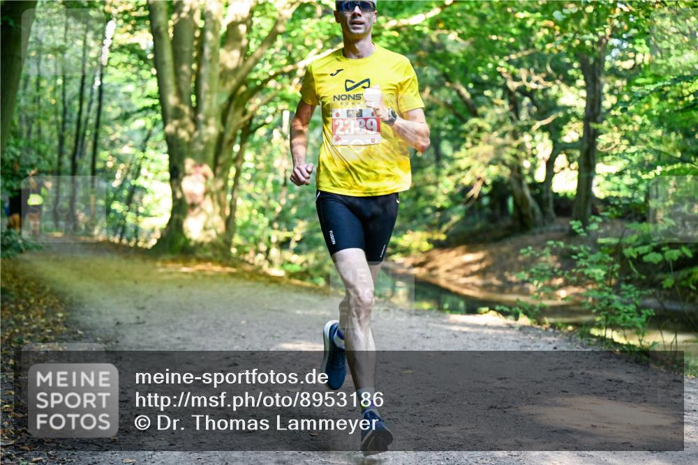 28.09.2025 - 33. Volkslauf durch das schöne Alstertal Dr. Thomas Lammeyer http://msf.ph/oto/8953186 28.09.2025 10:34:02 Laufen 2339 meine-sportfotos.de
