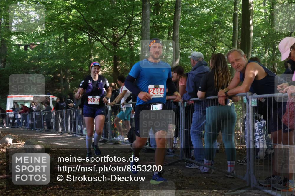 28.09.2025 - 33. Volkslauf durch das schöne Alstertal Strokosch-Dieckow http://msf.ph/oto/8953200 28.09.2025 12:29:31 Ziel 2436, 2484 meine-sportfotos.de
