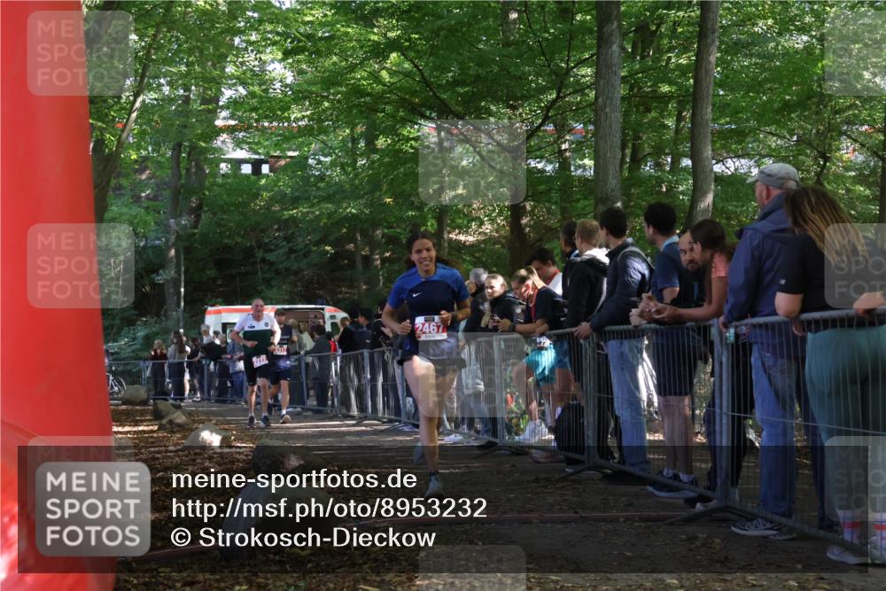 28.09.2025 - 33. Volkslauf durch das schöne Alstertal Strokosch-Dieckow http://msf.ph/oto/8953232 28.09.2025 12:30:03 Ziel 2272, 2317, 2467 meine-sportfotos.de