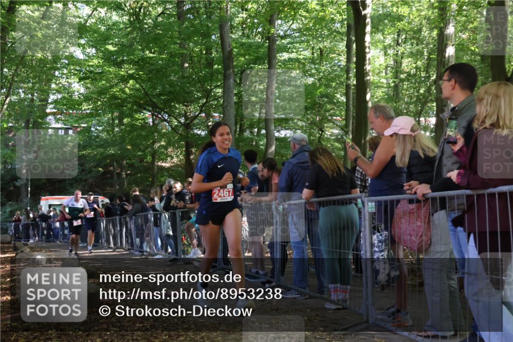 28.09.2025 - 33. Volkslauf durch das schöne Alstertal Strokosch-Dieckow http://msf.ph/oto/8953238 28.09.2025 12:30:04 Ziel 2272, 2317, 2467 meine-sportfotos.de