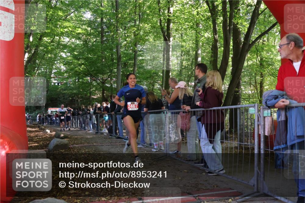 28.09.2025 - 33. Volkslauf durch das schöne Alstertal Strokosch-Dieckow http://msf.ph/oto/8953241 28.09.2025 12:30:04 Ziel 2272, 2317, 2467 meine-sportfotos.de