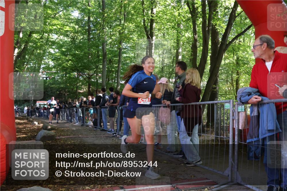 28.09.2025 - 33. Volkslauf durch das schöne Alstertal Strokosch-Dieckow http://msf.ph/oto/8953244 28.09.2025 12:30:04 Ziel 2272, 2317, 2467 meine-sportfotos.de