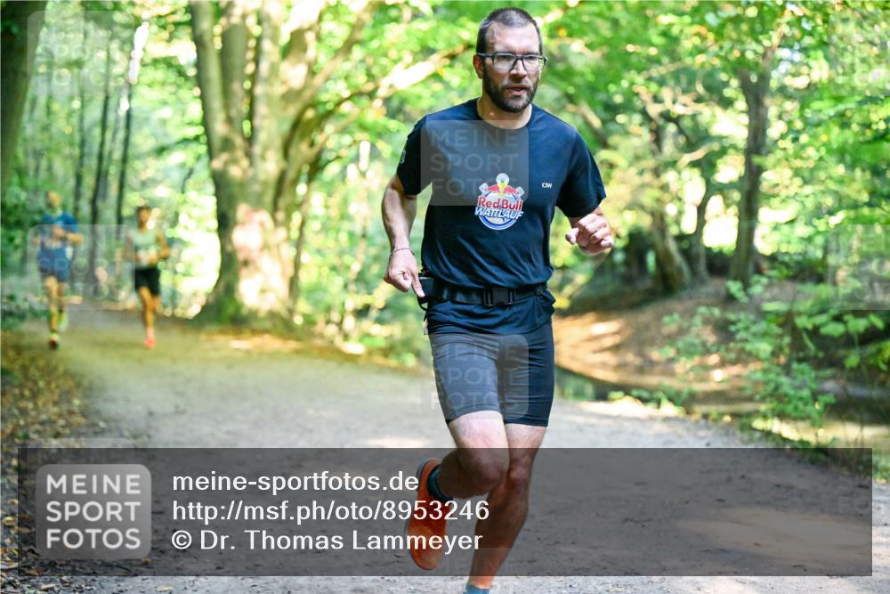 28.09.2025 - 33. Volkslauf durch das schöne Alstertal Dr. Thomas Lammeyer http://msf.ph/oto/8953246 28.09.2025 10:34:26 Laufen  meine-sportfotos.de