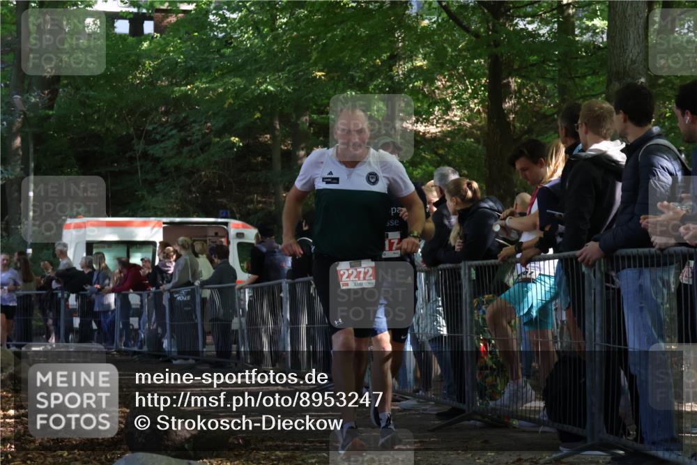 28.09.2025 - 33. Volkslauf durch das schöne Alstertal Strokosch-Dieckow http://msf.ph/oto/8953247 28.09.2025 12:30:07 Ziel 2096, 2097, 2272, 2317, 2456 meine-sportfotos.de