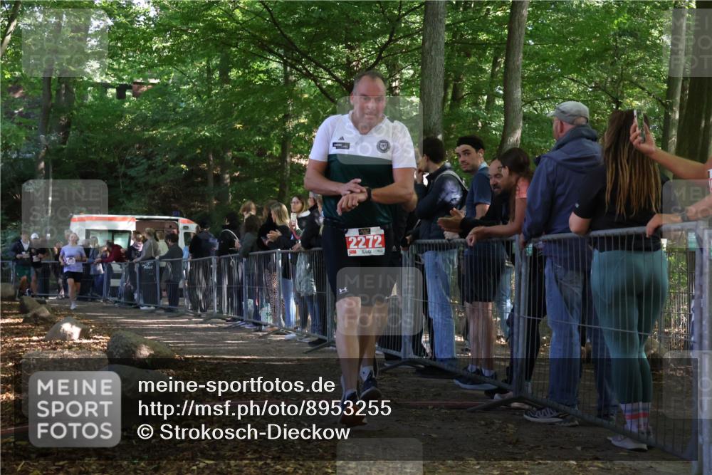 28.09.2025 - 33. Volkslauf durch das schöne Alstertal Strokosch-Dieckow http://msf.ph/oto/8953255 28.09.2025 12:30:08 Ziel 2096, 2097, 2272, 2317, 2456 meine-sportfotos.de