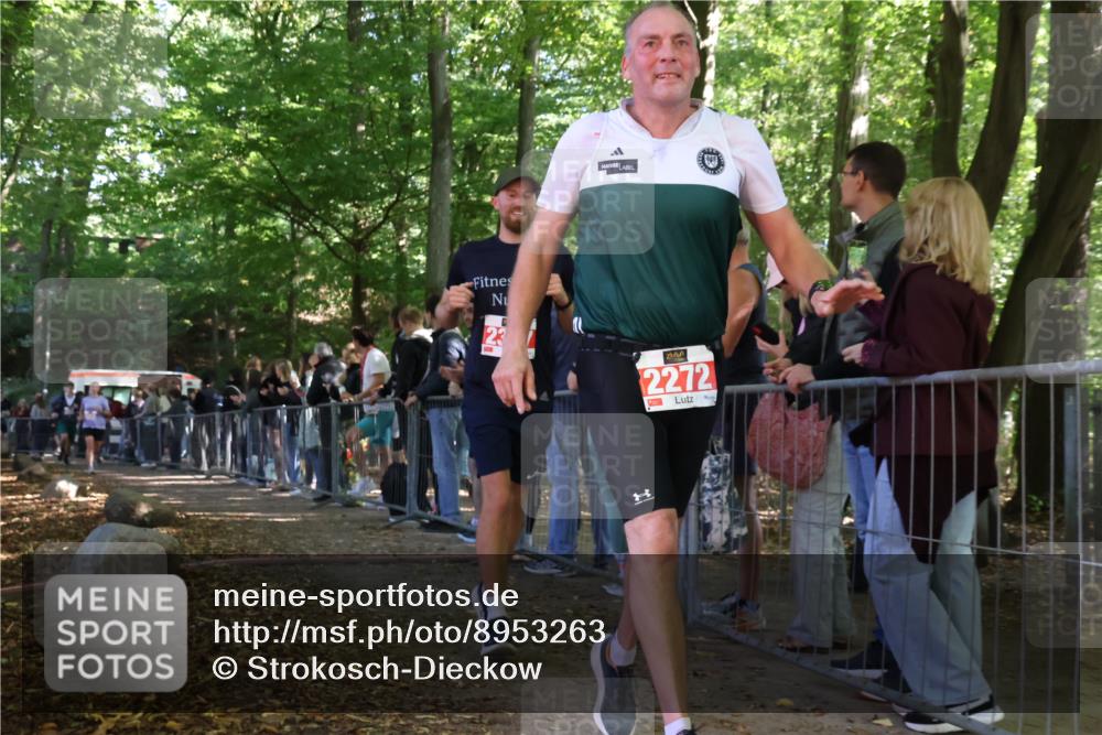 28.09.2025 - 33. Volkslauf durch das schöne Alstertal Strokosch-Dieckow http://msf.ph/oto/8953263 28.09.2025 12:30:09 Ziel 2096, 2097, 2245, 2272, 2317, 2456 meine-sportfotos.de