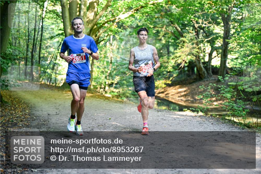 28.09.2025 - 33. Volkslauf durch das schöne Alstertal Dr. Thomas Lammeyer http://msf.ph/oto/8953267 28.09.2025 10:34:30 Laufen 2651, 2608 meine-sportfotos.de