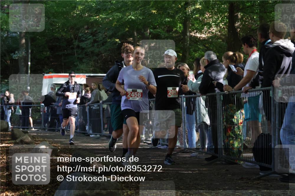28.09.2025 - 33. Volkslauf durch das schöne Alstertal Strokosch-Dieckow http://msf.ph/oto/8953272 28.09.2025 12:30:14 Ziel 2096, 2097, 2245, 2456 meine-sportfotos.de