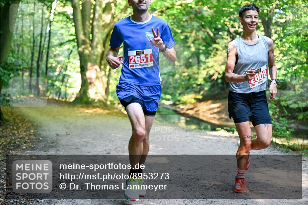 28.09.2025 - 33. Volkslauf durch das schöne Alstertal Dr. Thomas Lammeyer http://msf.ph/oto/8953273 28.09.2025 10:34:31 Laufen 2651, 608 meine-sportfotos.de