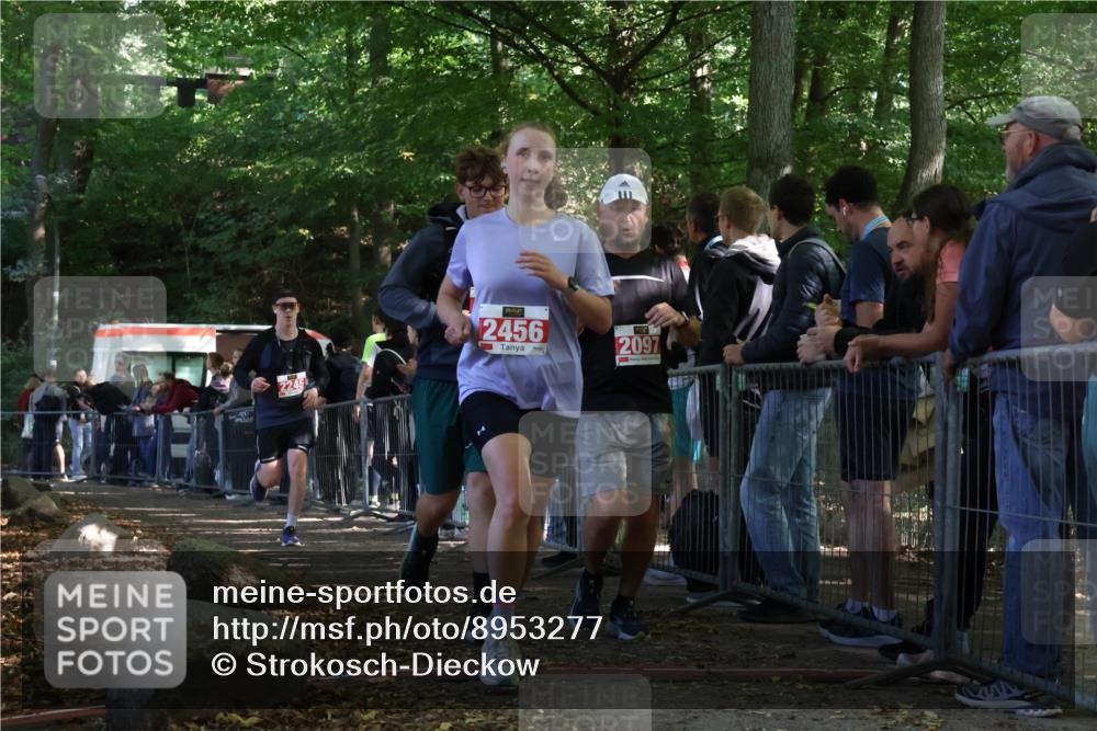 28.09.2025 - 33. Volkslauf durch das schöne Alstertal Strokosch-Dieckow http://msf.ph/oto/8953277 28.09.2025 12:30:15 Ziel 2096, 2097, 2245, 2456 meine-sportfotos.de